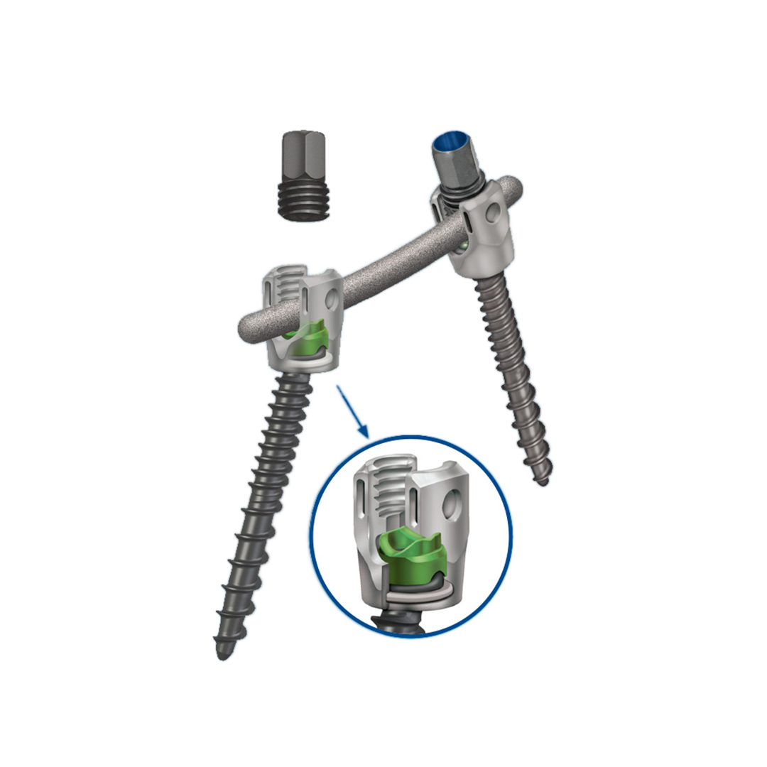 CD Horizon™ Solera™